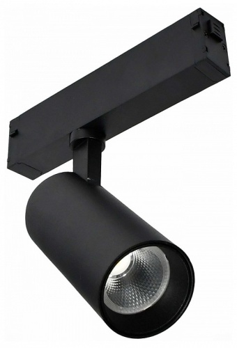 Светильник на штанге ST-Luce SKYLINE 220 ST660.446.10H в Нижнем Новгороде