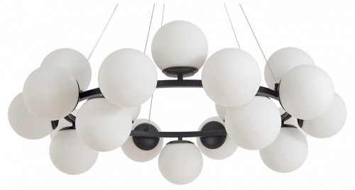 Подвесная люстра Zortes Blume ZRS.1777.05 в Нижнем Новгороде