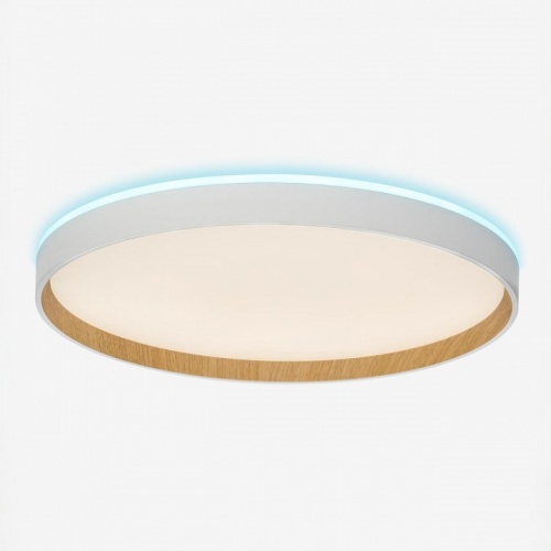 Накладной светильник Citilux ETALON CL750400R в Нижнем Новгороде фото 10