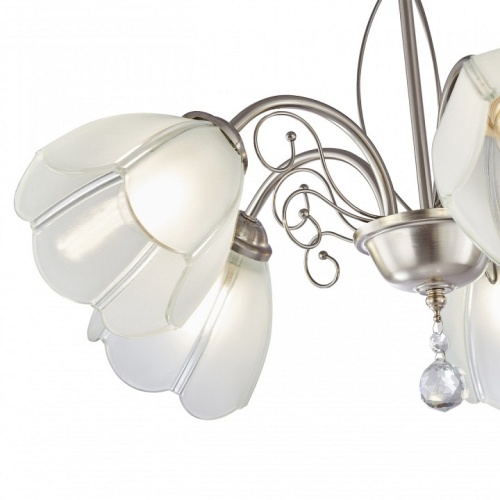 Подвесная люстра Arte Milano Amalfi-2656 332656/5 SN в Нижнем Новгороде фото 4