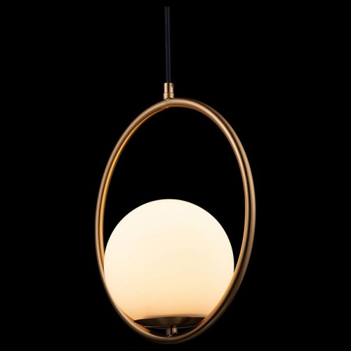 Подвесной светильник Loft it Glob LOFT2600-A в Нижнем Новгороде фото 3