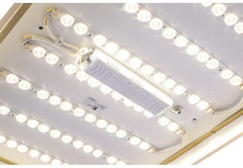 Накладной светильник Zortes Monna ZRS.1209.09 в Нижнем Новгороде фото 8