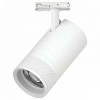 Светильник на штанге Lightstar Canno Pro C4406SS в Нижнем Новгороде