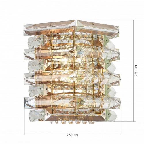 Накладной светильник ST-Luce STROZZI SL6137.201.02 в Нижнем Новгороде фото 3
