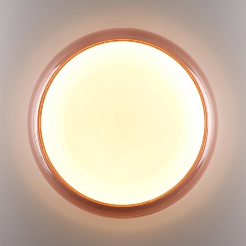 Накладной светильник Sonex PORTMAN 7778/ELN в Нижнем Новгороде фото 2