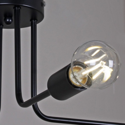 Потолочная люстра ILLUMICO  IL2000-8C-05 BK в Нижнем Новгороде фото 3