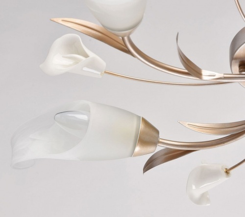 Потолочная люстра MW-Light Восторг 19 242016205 в Нижнем Новгороде фото 6