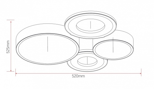 Потолочная люстра Rivoli Aliona Б0066451 в Нижнем Новгороде фото 2