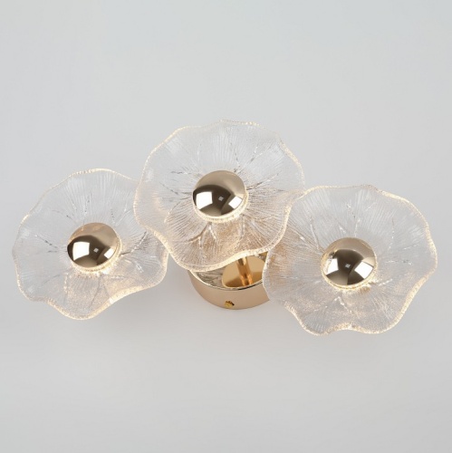 Накладной светильник Rivoli Shannon Б0061948 в Нижнем Новгороде фото 6