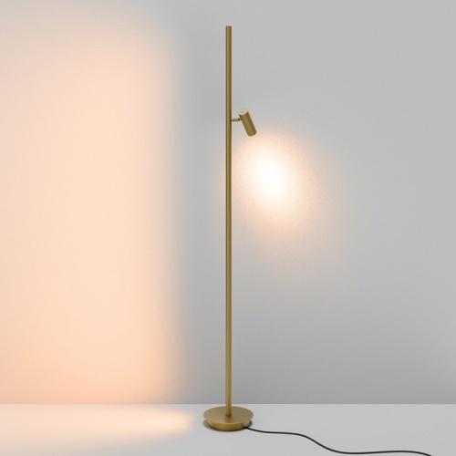 Торшер Maytoni Thin MOD395FL-L28BS3K в Нижнем Новгороде фото 6