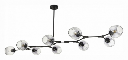 Подвесная люстра EVOLUCE Rametto SLE154843-09 в Нижнем Новгороде фото 4