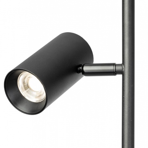 Торшер Citilux Twin CL809011N в Нижнем Новгороде фото 5