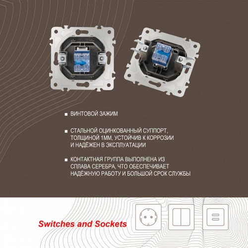 Розетка телефонная RJ-11 без рамки Arte Milano am-203 203.51-1.shampan в Нижнем Новгороде фото 2