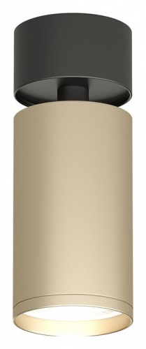 Спот Denkirs DK2029 DK2029-BG в Нижнем Новгороде фото 4