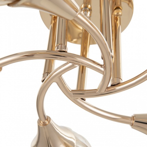 Потолочная люстра Arte Milano Napoli-6366 336366/5 FGD в Нижнем Новгороде фото 8