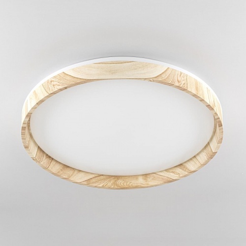 Накладной светильник Citilux ENZO CL753452G в Нижнем Новгороде фото 8