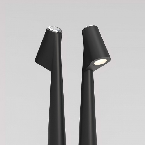 Настольная лампа декоративная Elektrostandard Elite Elite черный (TL70250) в Нижнем Новгороде фото 2