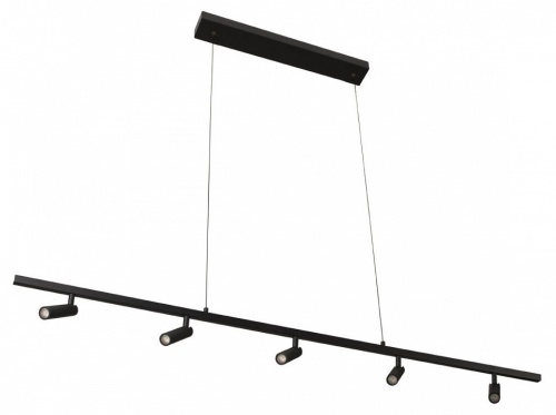 Подвесной светильник Loft it Sign 10260/5 Black в Дудинке фото 2