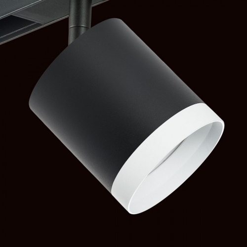 Светильник на штанге Lightstar Rullo PRO34873486 в Нижнем Новгороде фото 2