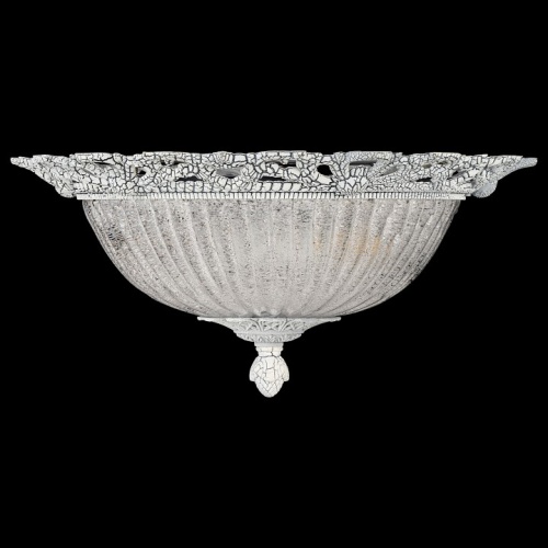 Накладной светильник Arti Lampadari Vigilanza Vigilanza E 1.13.38 BW в Нижнем Новгороде фото 3