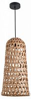 Подвесной светильник Favourite Recinto 4888-1P в Нижнем Новгороде