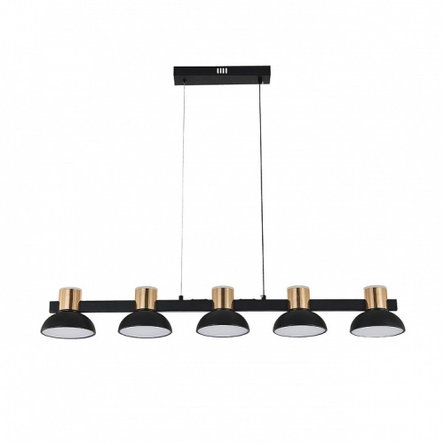 Подвесной светильник Indigo Traforo 11059/5PL Black в Нижнем Новгороде фото 3