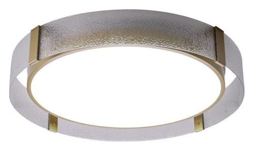 Накладной светильник Zortes Gerda ZRS.1097.60 в Нижнем Новгороде фото 2