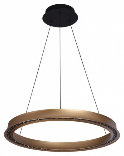 Подвесной светильник Aployt Justyna APL.787.03.50 в Нижнем Новгороде фото 3