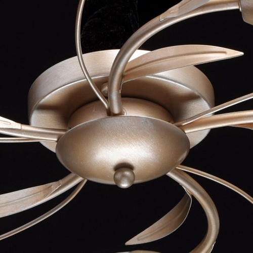 Потолочная люстра MW-Light Восторг 19 242016205 в Нижнем Новгороде фото 3