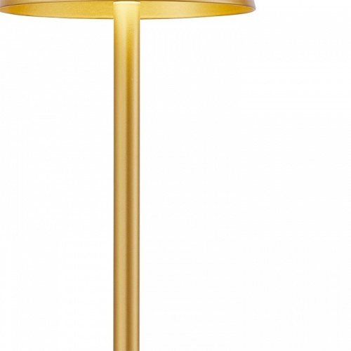 Настольная лампа декоративная F-promo Pyari 4616-1T в Нижнем Новгороде фото 3