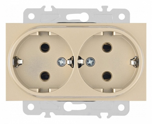 Розетка двойная с заземлением, без рамки Arte Milano am-203 203.40-2.shampan в Нижнем Новгороде
