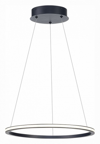 Подвесной светильник ST-Luce ST604 OUT ST604.443.22 в Нижнем Новгороде фото 2