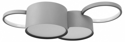 Потолочная люстра Loft it Pin 10317/4 Grey в Нижнем Новгороде фото 4