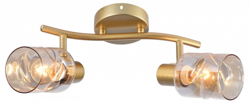 Светильник на штанге  05963-0.8-02 GOLD в Нижнем Новгороде