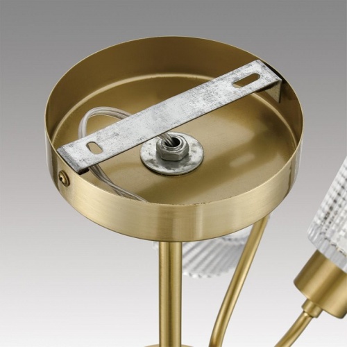 Люстра на штанге Lumion IMANA 8154/8C в Нижнем Новгороде фото 4