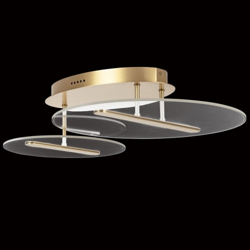 Светильник на штанге Lightstar Acrile 738053 в Нижнем Новгороде фото 4