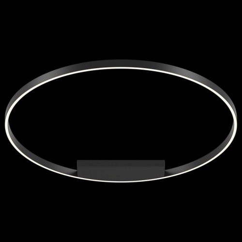 Накладной светильник Maytoni Rim MOD058CL-L65B4K в Нижнем Новгороде фото 3