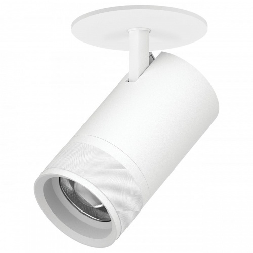 Спот Lightstar Canno Pro C4406RS в Нижнем Новгороде