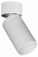 Накладной светильник ST-Luce ST171 ST171.502.01 в Нижнем Новгороде