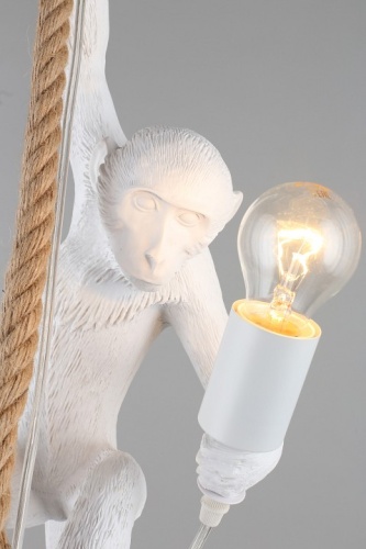 Подвесной светильник Aployt Magali APL.309.06.01 в Нижнем Новгороде фото 14