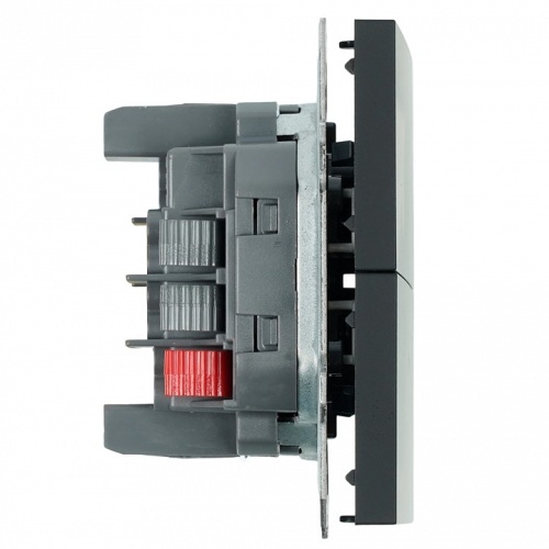 Переключатель двухклавишный без рамки Stekker Эмили 50249 в Нижнем Новгороде фото 2