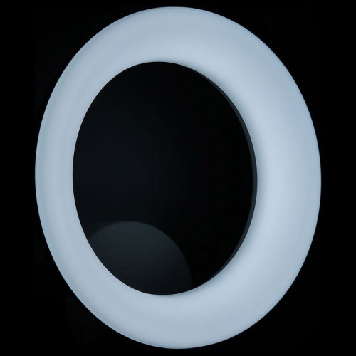 Бра Citilux Паркер CL225B310 в Нижнем Новгороде фото 5