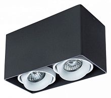 Накладной светильник Arte Lamp Pictor A5654PL-2BK в Нижнем Новгороде