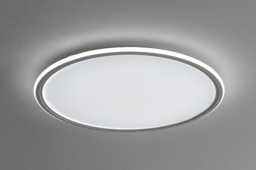 Накладной светильник Zortes Galo ZRS.10112.13 в Нижнем Новгороде фото 3