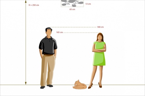 Потолочная люстра MW-Light Фиеста 10 267012005 в Нижнем Новгороде фото 2