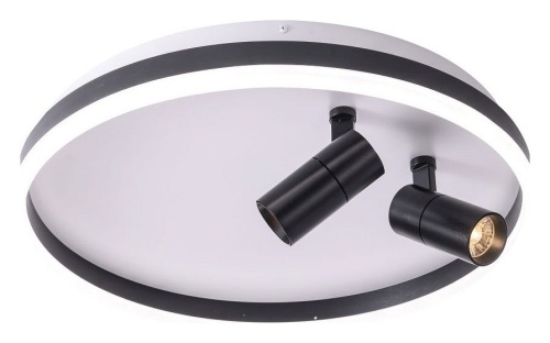 Накладной светильник Zortes Raizy ZRS.1888.01 в Нижнем Новгороде фото 5