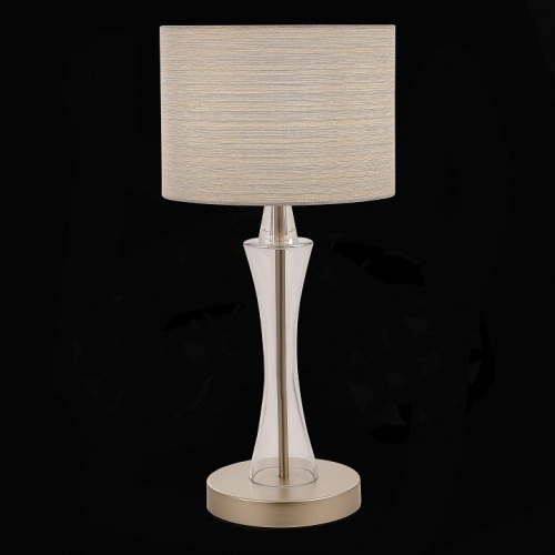 Настольная лампа декоративная EVOLUCE Cassia SLE1126-204-01 в Белово фото 3