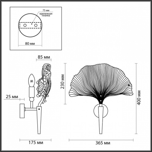 Бра Odeon Light Ventaglio 4870/1W в Дзержинске фото 3