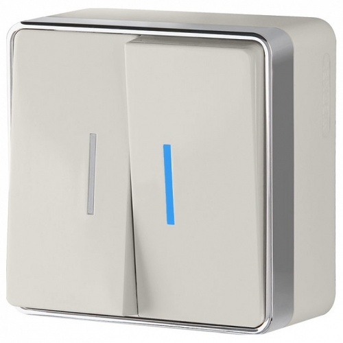 Выключатель двухклавишный с подсветкой Werkel Gallant (слоновая кость) W5020103 в Нижнем Новгороде