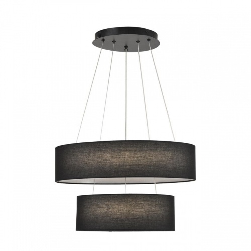 Подвесной светильник Lumion LEDIO 8373/55L в Нижнем Новгороде фото 2